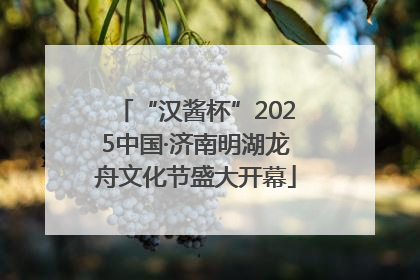 “汉酱杯”2025中国·济南明湖龙舟文化节盛大开幕