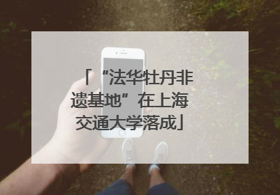“法华牡丹非遗基地”在上海交通大学落成