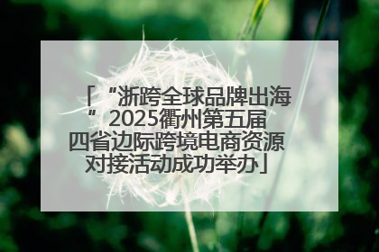 “浙跨全球品牌出海”2025衢州第五届四省边际跨境电商资源对接活动成功举办