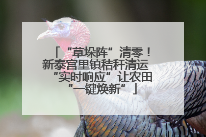“草垛阵”清零！新泰宫里镇秸秆清运“实时响应”让农田“一键焕新”