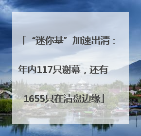 “迷你基”加速出清：年内117只谢幕，还有1655只在清盘边缘