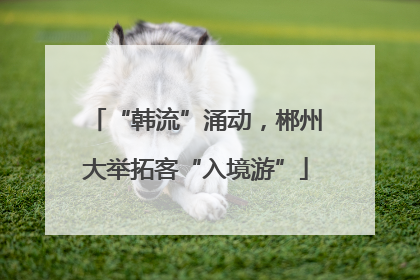 “韩流”涌动，郴州大举拓客“入境游”