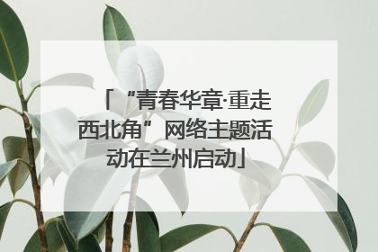 “青春华章·重走西北角”网络主题活动在兰州启动