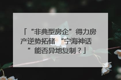 “非典型房企”得力房产逆势拓储 “宁海神话”能否异地复制？