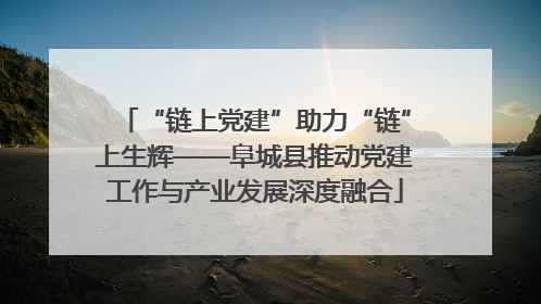 “链上党建”助力“链”上生辉——阜城县推动党建工作与产业发展深度融合