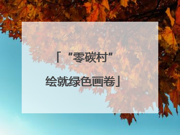 “零碳村” 绘就绿色画卷