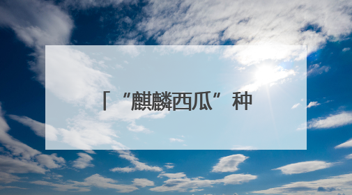 “麒麟西瓜”种出“甜蜜”未来