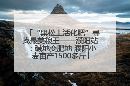 “黑松土活化肥”寻找最美粮王——濮阳站：碱地变肥地 濮阳小麦亩产1500多斤