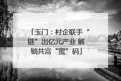 玉门：村企联手“链”出亿元产业 解锁共富“蜜”码