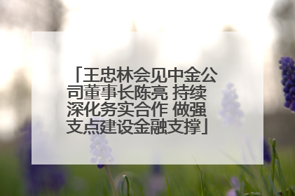 王忠林会见中金公司董事长陈亮 持续深化务实合作 做强支点建设金融支撑