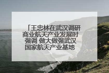 王忠林在武汉调研商业航天产业发展时强调 做大做强武汉国家航天产业基地 打造具有全国影响力的“中国星谷”