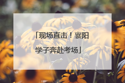 现场直击！襄阳学子奔赴考场