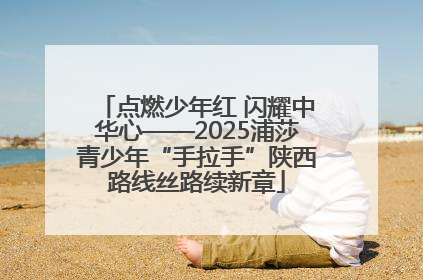点燃少年红 闪耀中华心——2025浦莎青少年“手拉手”陕西路线丝路续新章