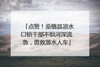 点赞！桑植县凉水口镇干部不惧河深流急，勇救落水人车