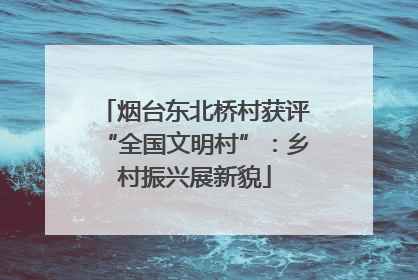 烟台东北桥村获评“全国文明村”：乡村振兴展新貌