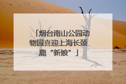 烟台南山公园动物园喜迎上海长颈鹿“新娘”