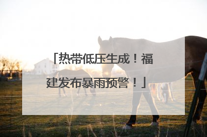 热带低压生成！福建发布暴雨预警！