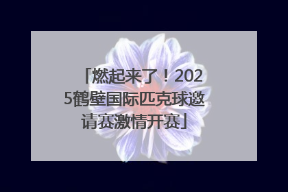 燃起来了！2025鹤壁国际匹克球邀请赛激情开赛