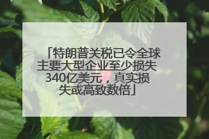 特朗普关税已令全球主要大型企业至少损失340亿美元，真实损失或高致数倍