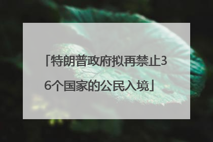 特朗普政府拟再禁止36个国家的公民入境