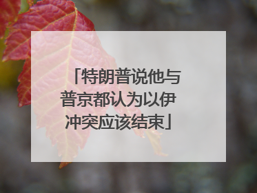 特朗普说他与普京都认为以伊冲突应该结束