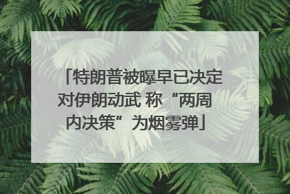 特朗普被曝早已决定对伊朗动武 称“两周内决策”为烟雾弹