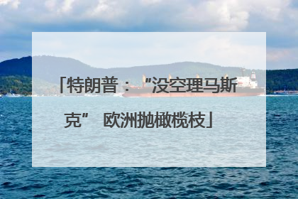 特朗普：“没空理马斯克” 欧洲抛橄榄枝