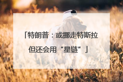 特朗普：或挪走特斯拉 但还会用“星链”