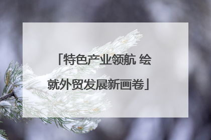 特色产业领航 绘就外贸发展新画卷