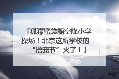 狐獴蜜袋鼯空降小学操场！北京这所学校的“撸宠节”火了！