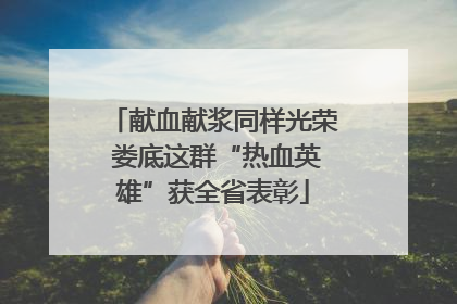 献血献浆同样光荣 娄底这群“热血英雄”获全省表彰