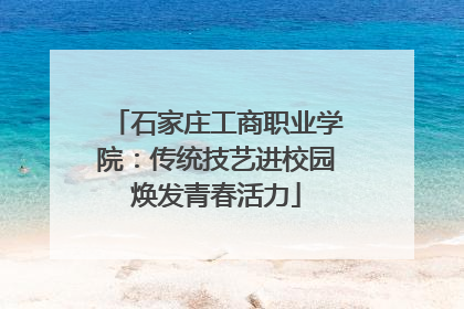 石家庄工商职业学院：传统技艺进校园焕发青春活力