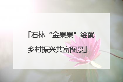 石林“金果果”绘就乡村振兴共富图景