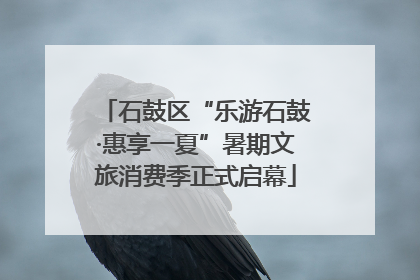 石鼓区“乐游石鼓·惠享一夏”暑期文旅消费季正式启幕