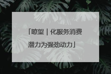 瞭望｜化服务消费潜力为强劲动力