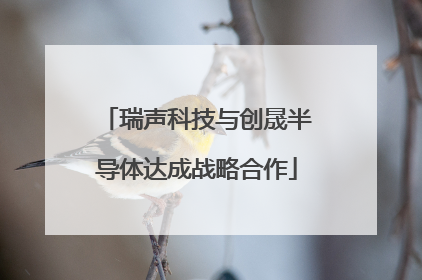 瑞声科技与创晟半导体达成战略合作