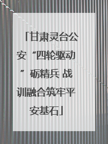 甘肃灵台公安“四轮驱动”砺精兵 战训融合筑牢平安基石