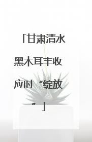 甘肃清水黑木耳丰收应时“绽放”