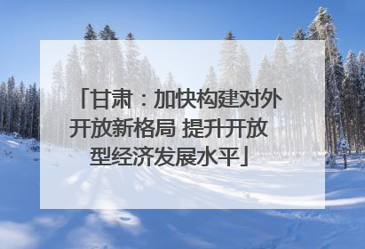 甘肃：加快构建对外开放新格局 提升开放型经济发展水平