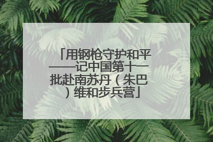 用钢枪守护和平——记中国第十一批赴南苏丹（朱巴）维和步兵营