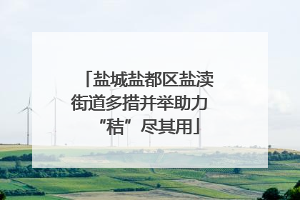 盐城盐都区盐渎街道多措并举助力“秸”尽其用