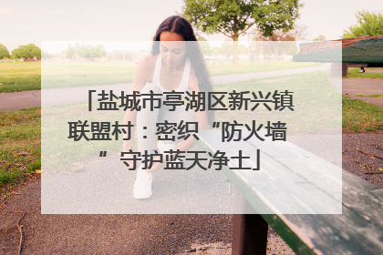 盐城市亭湖区新兴镇联盟村：密织“防火墙”守护蓝天净土