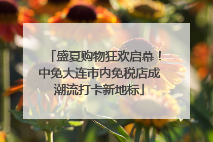 盛夏购物狂欢启幕！中免大连市内免税店成潮流打卡新地标