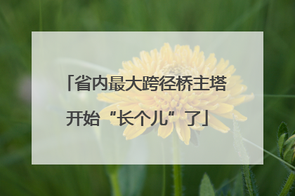 省内最大跨径桥主塔开始“长个儿”了