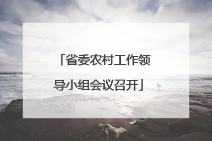 省委农村工作领导小组会议召开