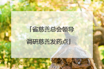 省慈善总会领导调研慈善发药点