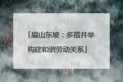 眉山东坡：多措并举构建和谐劳动关系
