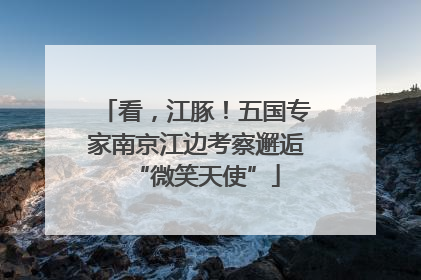 看，江豚！五国专家南京江边考察邂逅“微笑天使”