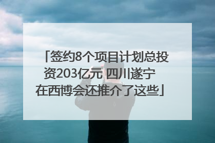 签约8个项目计划总投资203亿元 四川遂宁在西博会还推介了这些