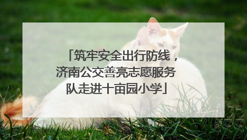 筑牢安全出行防线，济南公交善亮志愿服务队走进十亩园小学